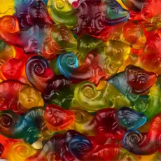 Haribo Chameleon 1kg Coopers Candy